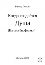 читать Когда создаётся душа. Начала биофизики
