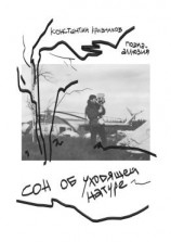 читать Сон об уходящей натуре. Поэма-аллюзия