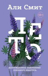 читать Лето