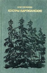 читать Костры партизанские