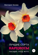 читать Нарциссы. Лучшие сорта