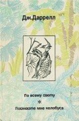 читать По всему свету