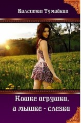 читать Кошке игрушки, а мышке - слезки