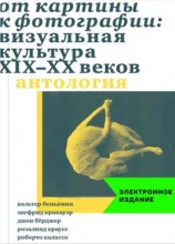 читать От картины к фотографии: визуальная культура XIX-XX веков