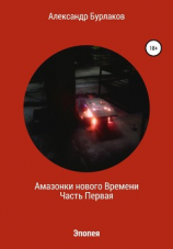 читать Амазонки нашего Времени