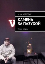 читать Камень за пазухой. Серия «Блиц»