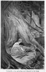 читать Скауты в лесах