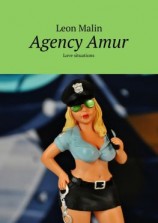 читать Agency Amur. Love situations