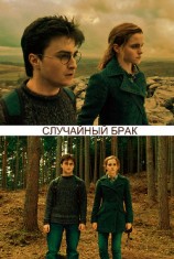 читать Случайный брак
