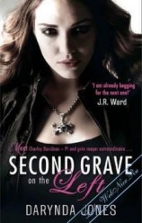 читать Вторая могила слева