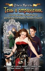 читать Тень в отражении, или как выжить, путешествуя по фантастическим мирам с мужем и кошкой