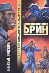 читать Небесные просторы