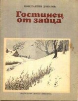 читать Гостинец от зайца (рассказы)