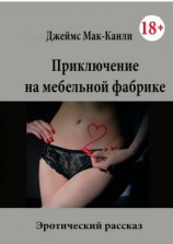 читать Приключение на мебельной фабрике