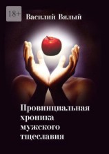 читать Провинциальная хроника мужского тщеславия