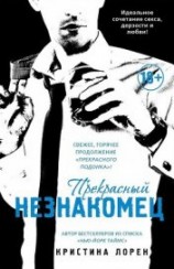 читать Прекрасный незнакомец