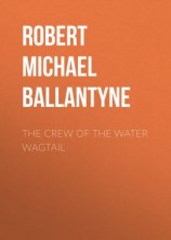 читать The Crew of the Water Wagtail