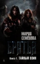 читать Тайный воин