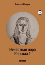 читать Ненастная пора. Часть 1