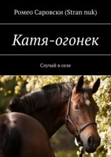 читать Катя-огонек. Случай в селе