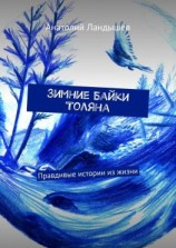 читать Зимние байки Толяна. Правдивые истории из жизни