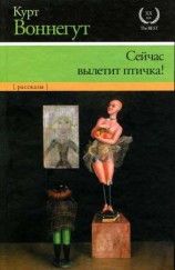 читать Сейчас вылетит птичка!