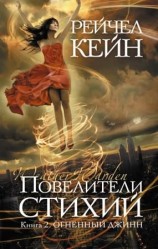 читать Повелители стихий. Книга 2. Огненный джинн