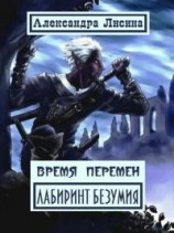 читать Время перемен. Лабиринт Безумия