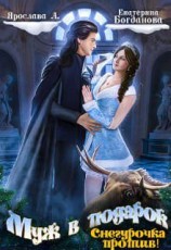 читать Муж в подарок. Снегурочка против!