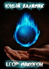 читать Юный алхимик