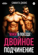 читать МЖМ в поезде. Двойное Подчинение