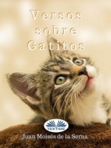 читать Versos Sobre Gatitos
