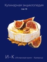 читать Кулинарная энциклопедия. Том 10. И К (Испанская кухня   Каперсы)