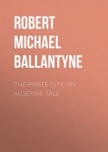 читать The Pirate City: An Algerine Tale