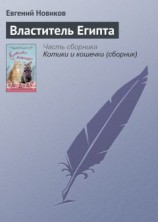 читать Властитель Египта