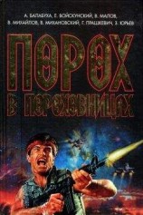 читать Мир инфории