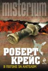 читать В погоне за ангелом