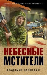 читать Небесные мстители