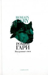 читать Воздушные змеи