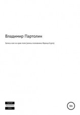 читать Запись-ком на краю поля (запись полковника Франца Курта)