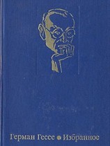 читать Герман Гессе: Избранное