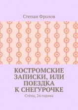 читать Костромские записки, или Поездка к Снегурочке. Стёпа, 24 годика