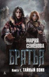 читать Тайный воин