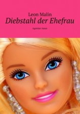 читать Diebstahl der Ehefrau. Agentur Amur