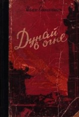 читать Дунай в огне. Прага зовет (Роман)