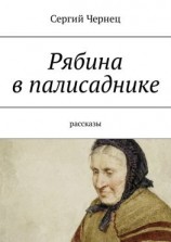 читать Рябина в палисаднике. Рассказы