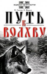 читать Путь к волхву