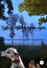читать Судьба одна и путь один. История настоящей дружбы и преданности