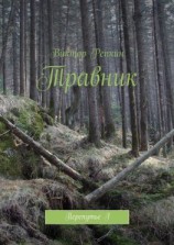 читать Травник. Перепутье I