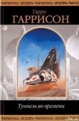 читать Время для мятежника